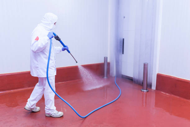 Best Paint Preparation  in St Joseph, IL