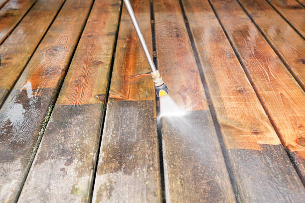 Best Dumpster Area Cleaning  in St Joseph, IL