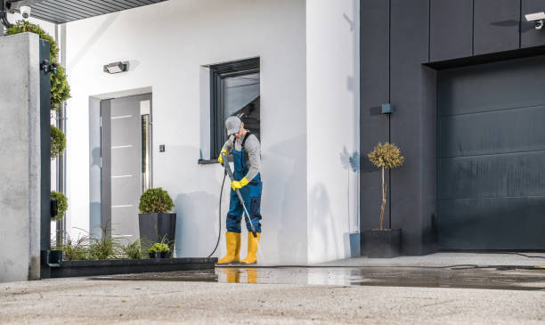Best Graffiti Removal  in St Joseph, IL